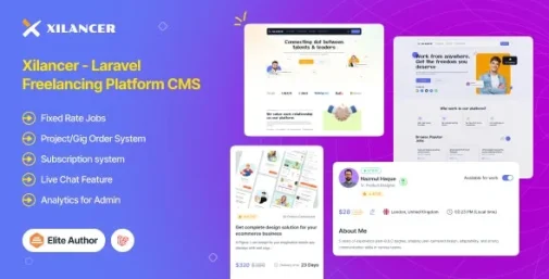 دانلود اسکریپت Xilancer زیلنسر Laravel